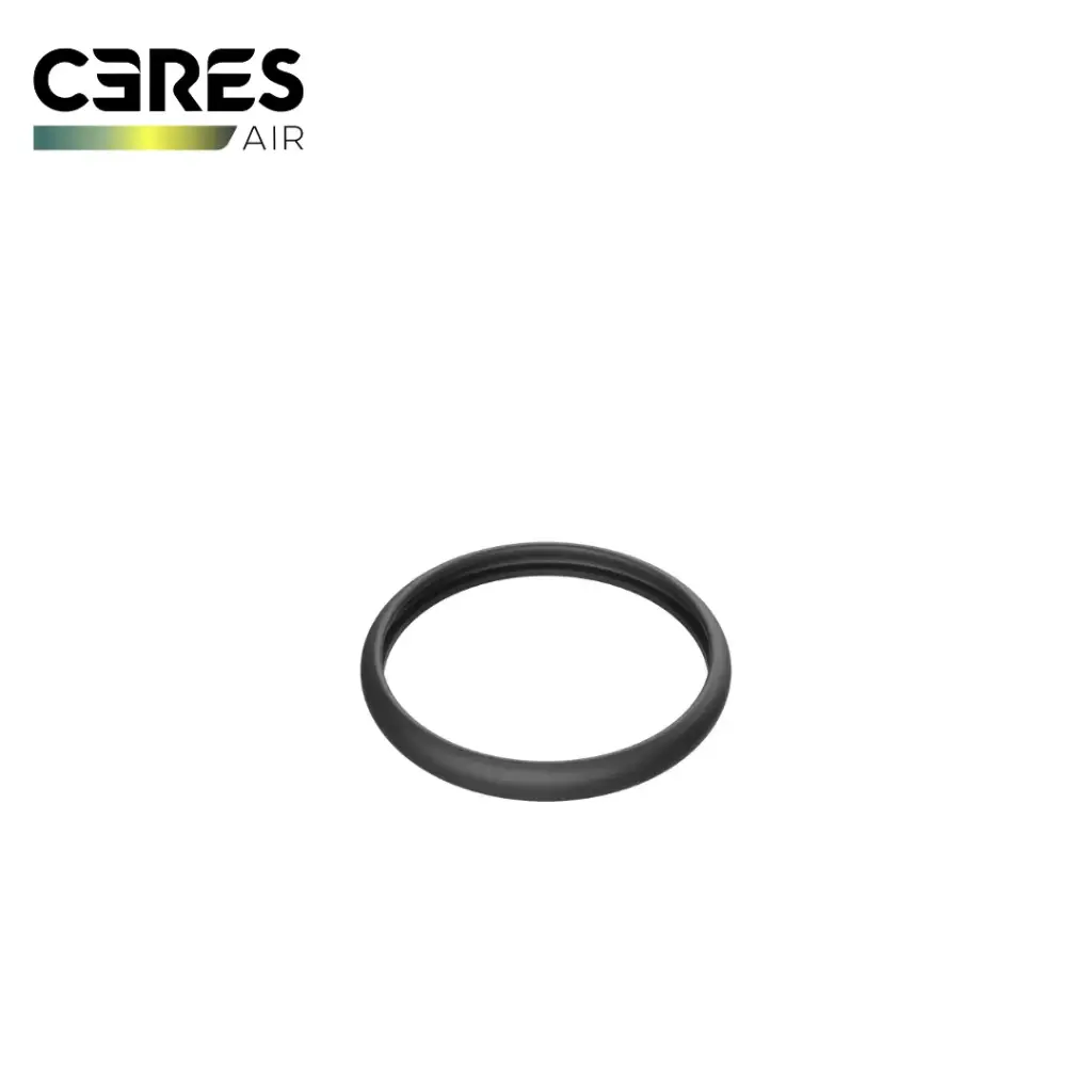HD540 PRO_RTK Silicone ring